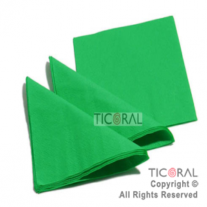 SOLID SERVILLETA 25X25 VERDE (2VELOS) HS450-5 x 20